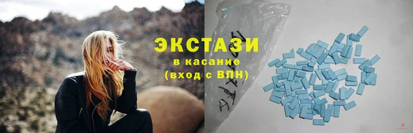 PSILOCYBIN Аркадак