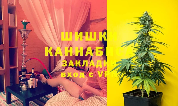 PSILOCYBIN Аркадак