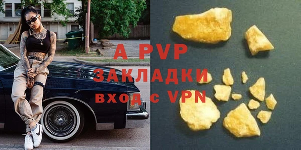 PSILOCYBIN Аркадак