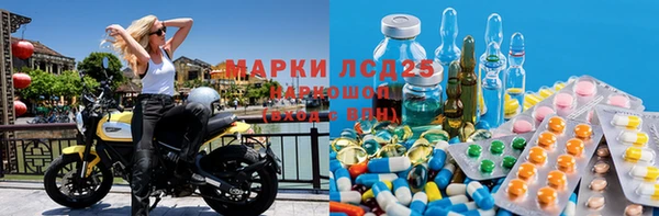 PSILOCYBIN Аркадак