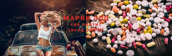 PSILOCYBIN Аркадак