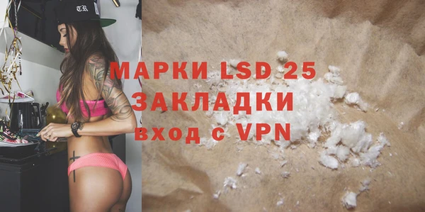 PSILOCYBIN Аркадак