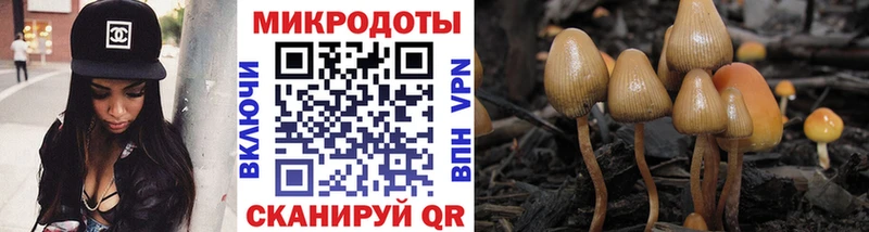 Псилоцибиновые грибы Cubensis  KRAKEN вход  Спас-Клепики 