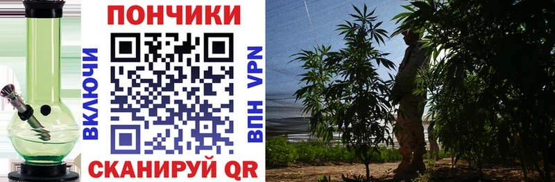 Бошки Шишки White Widow  Спас-Клепики 